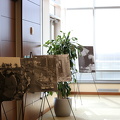IMG 6532