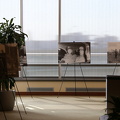 IMG 6533